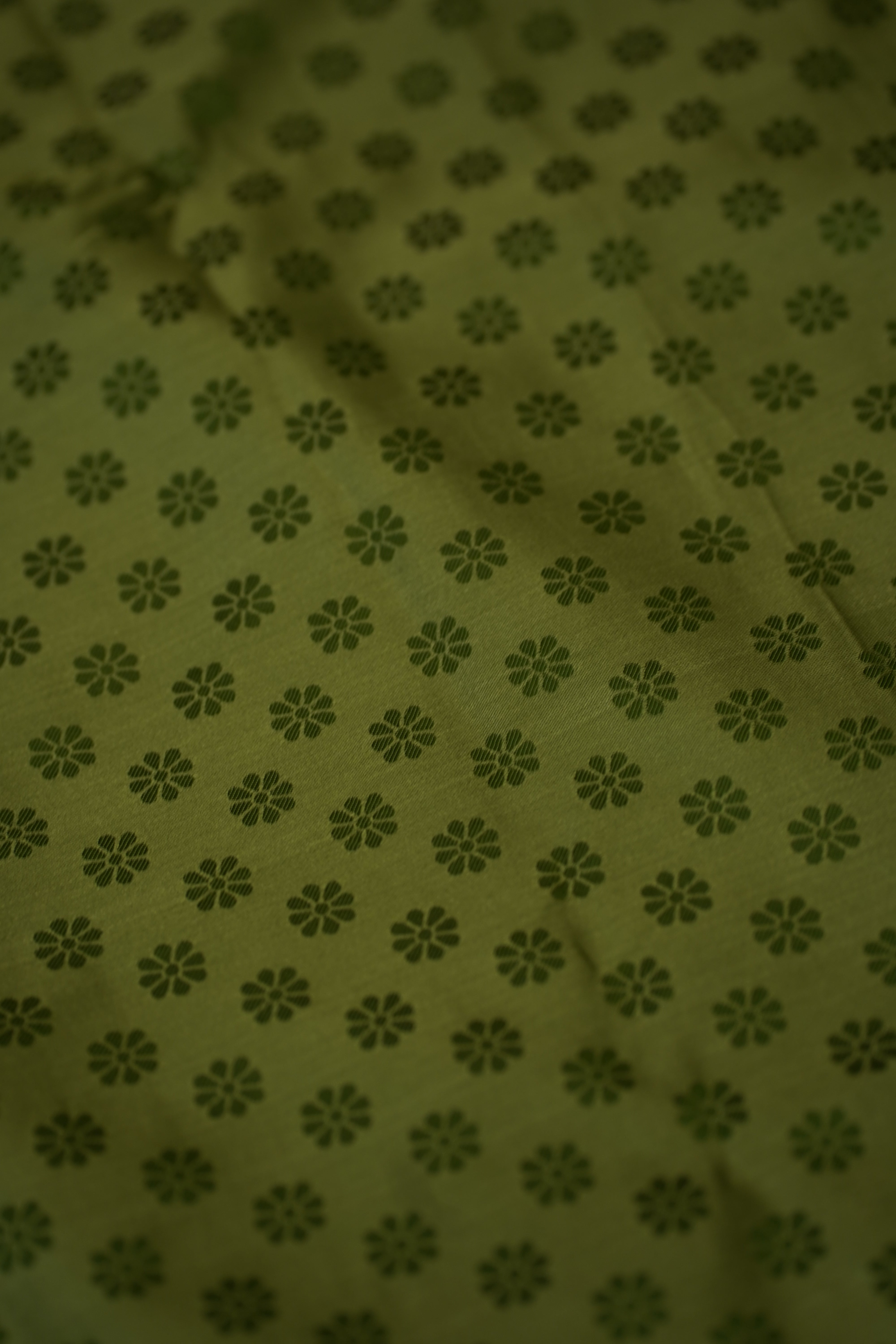 Manasa Banarasi Silk Saree laaki