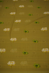 SAMANTHA CHIFFON SAREE