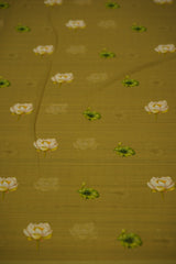 SAMANTHA CHIFFON SAREE