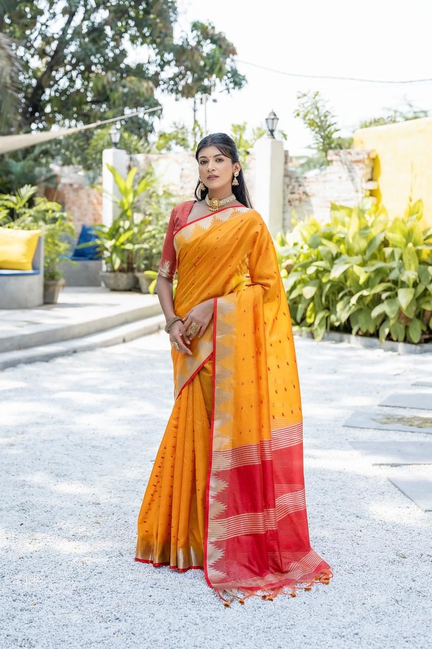 bharani ikat saree laaki