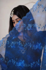 Chandhini Straight Kurta Set