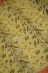 Monisha Dharmavaram Pattu Saree
