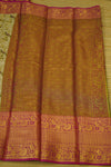 Traditional saree with intricate patterns on a plain background
