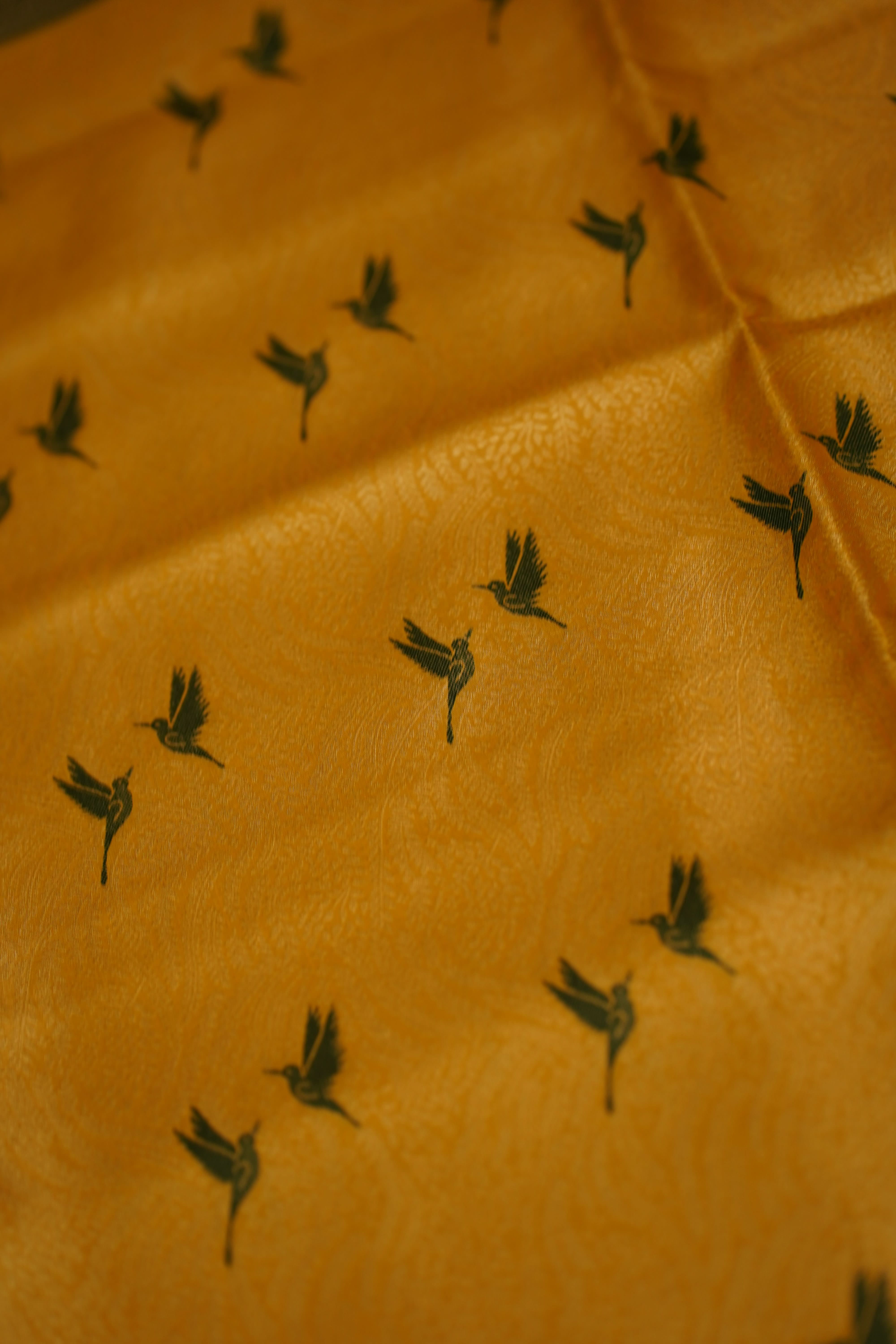 Dharani Kanjivaram  Pure Silk Saree