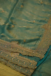 Swapna  Organza Saree