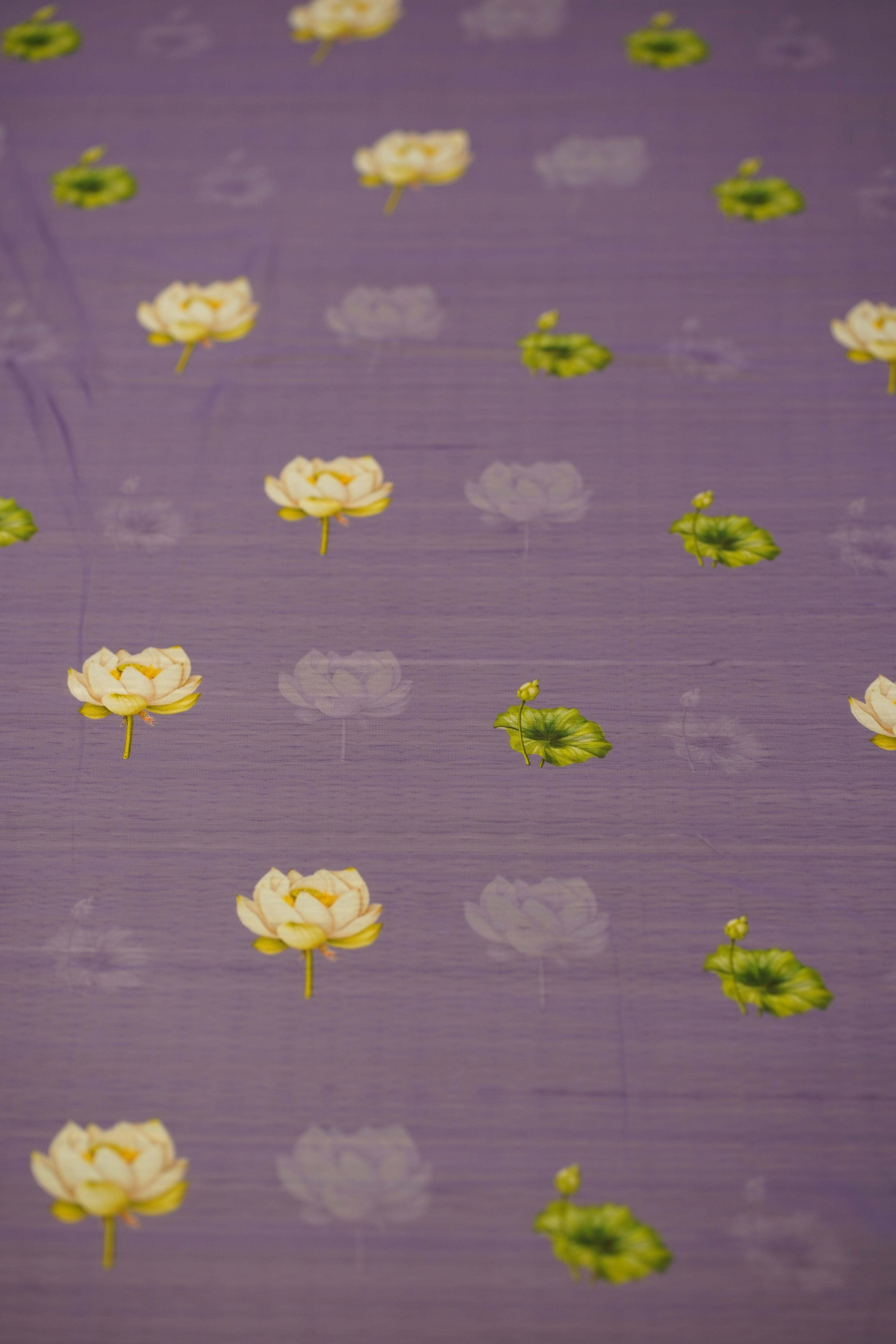 SHOBITHA CHIFFON SAREE