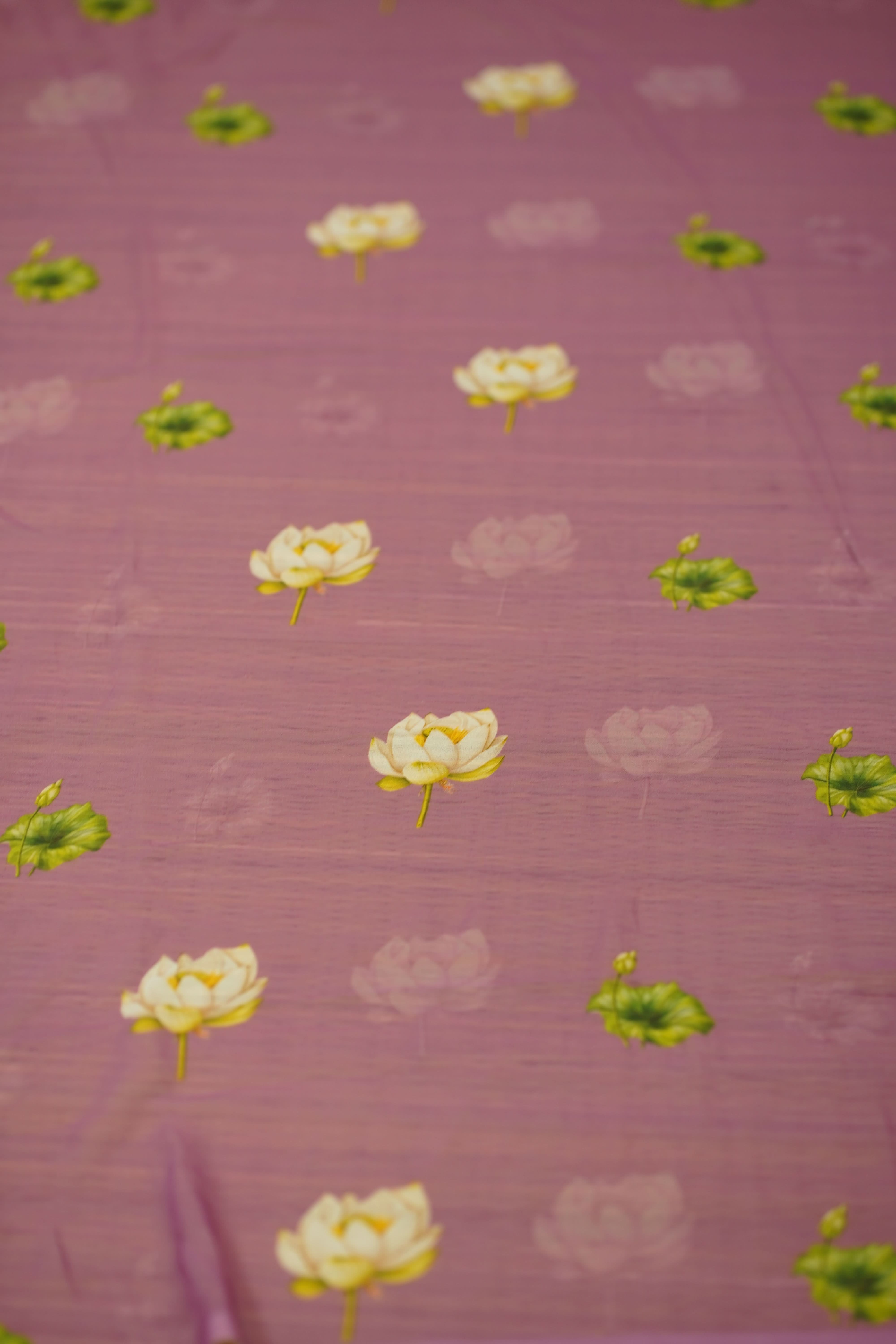 Kusuma Chiffon Saree
