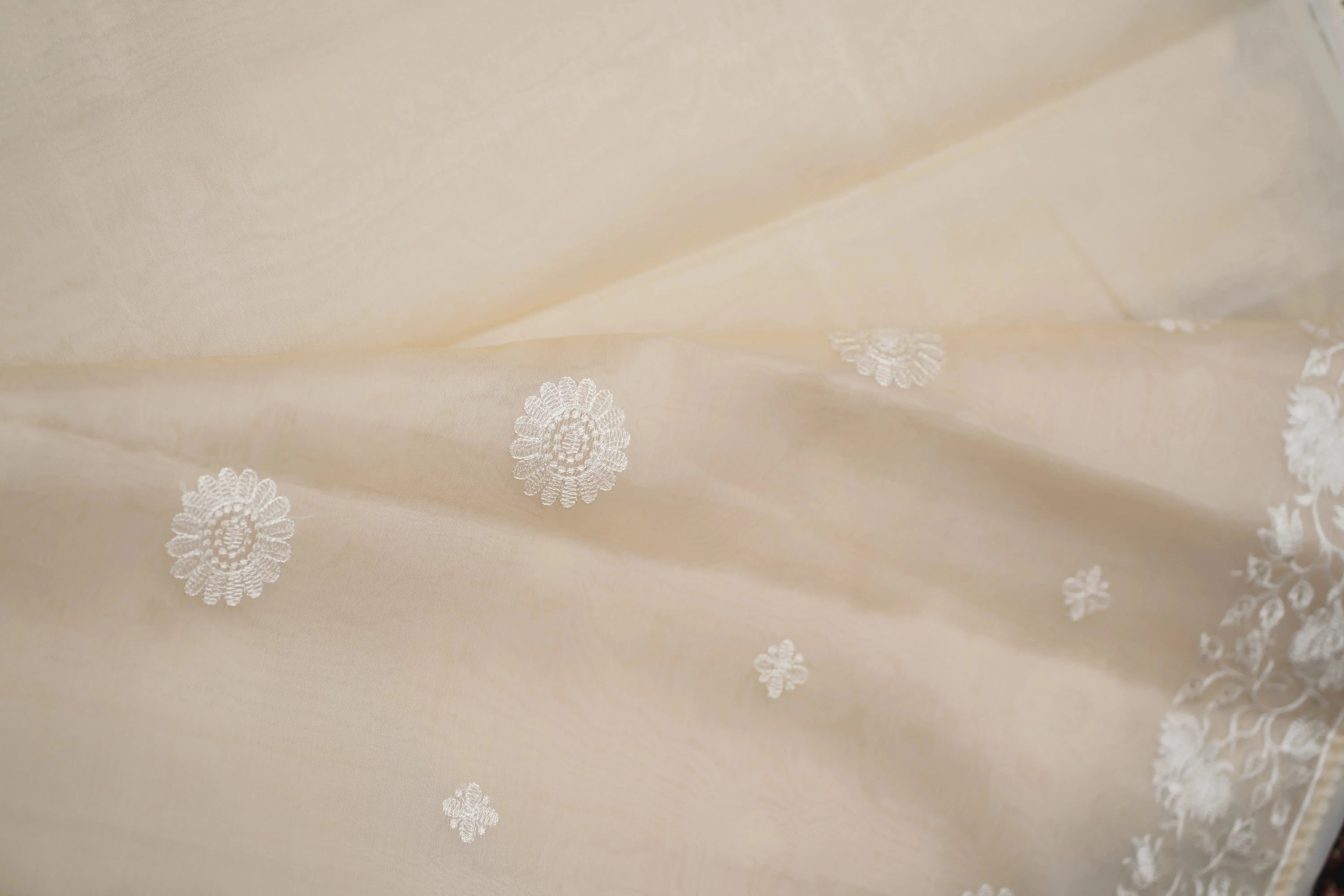 Rani organza saree - laaki