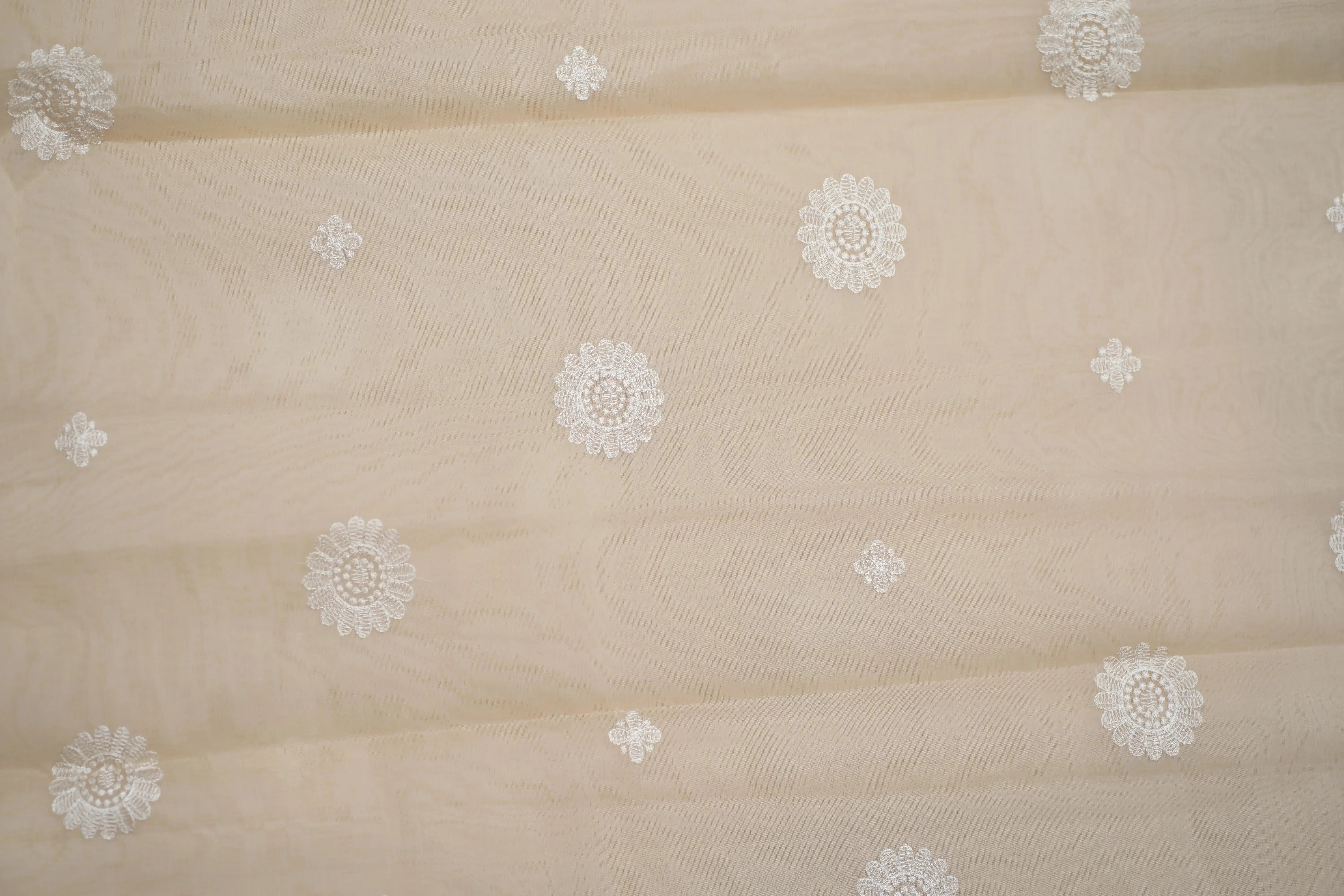 Rani organza saree - laaki