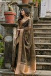 Thanuja Organza Silk saree